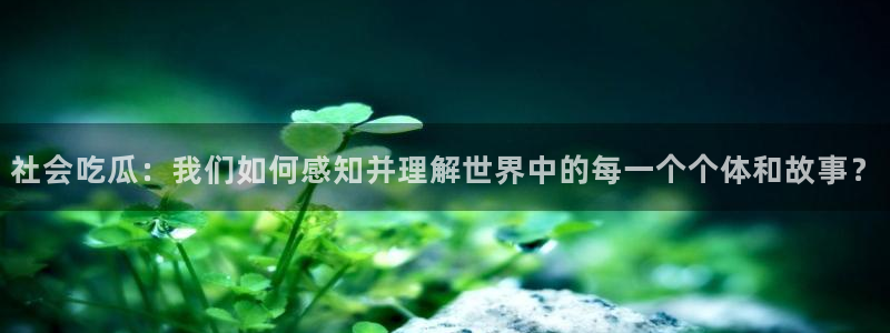 网红黑料证据梳理