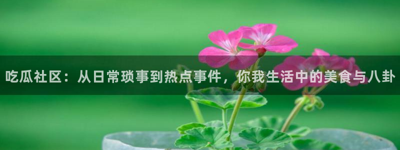 网红黑料当事人回应