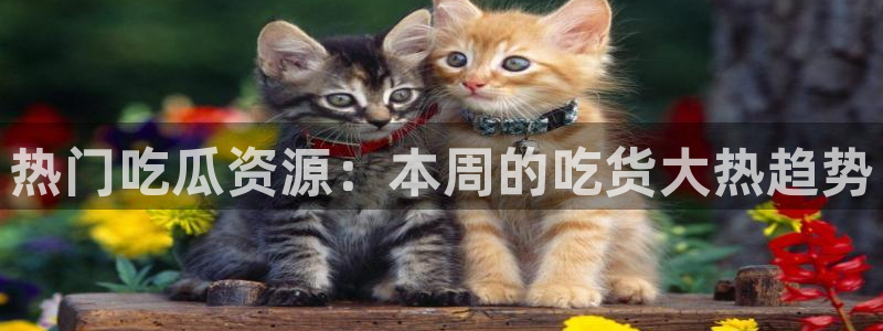 黑料事件原始来源