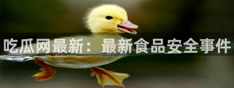 明星黑料事件始末