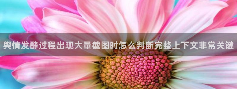 职场黑料