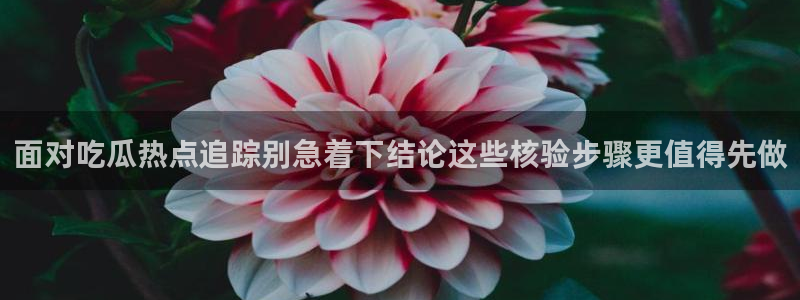 娱乐黑料完整时间线