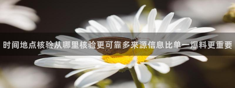 职场黑料今日更新