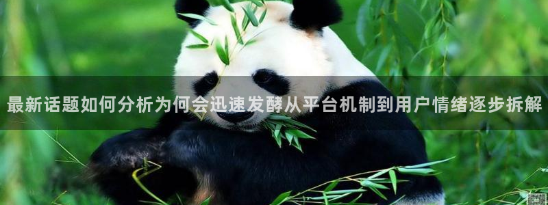 职场黑料后续进展