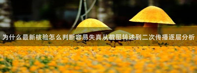 黑料曝光真伪核验