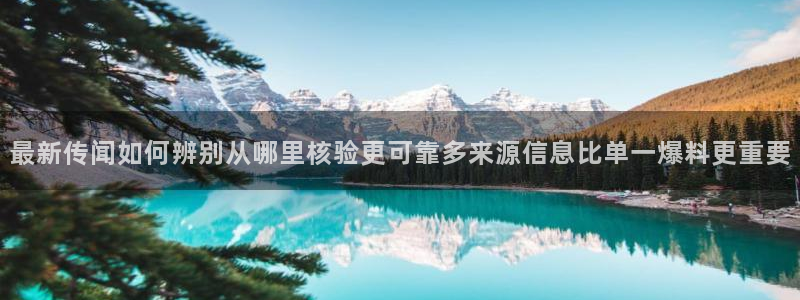 网络黑料真伪核验