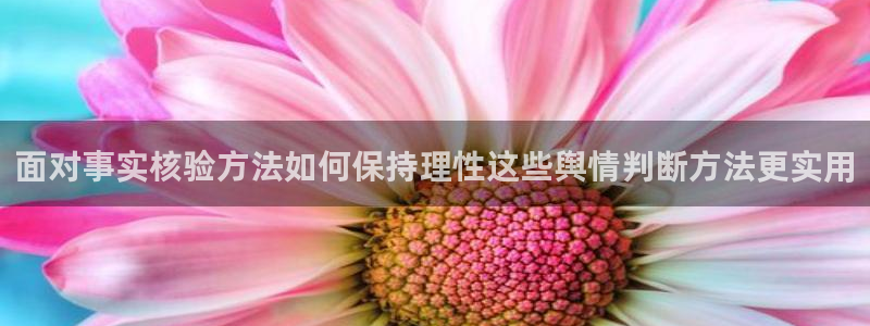网红黑料原始来源
